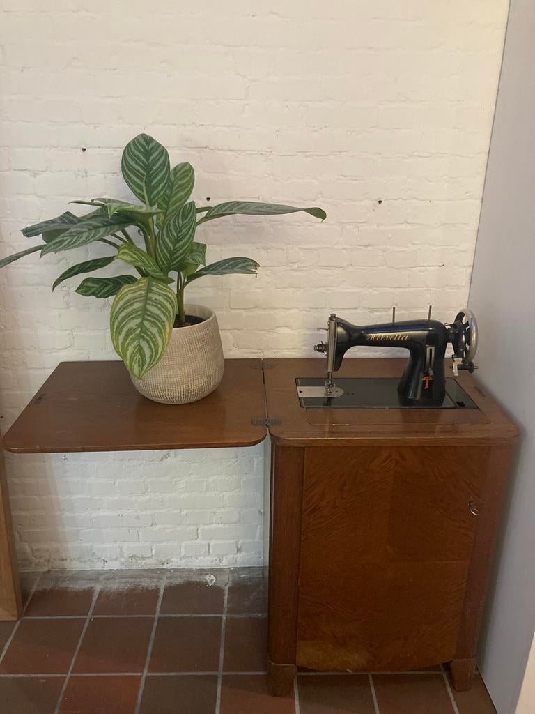 Helvetia naaimachine met boekjes, Enlèvement