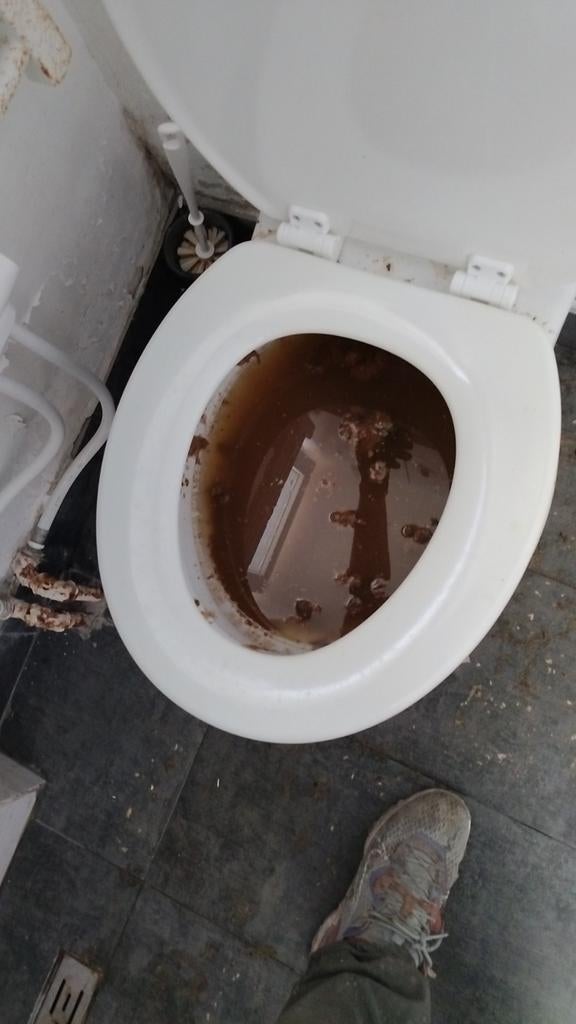 ️ DÉBOUCHAGE – CURAGE – INSPECTION CAMÉRA – ÉGOUTTAGE ️, Elektronische apparatuur, Overige elektronische apparatuur