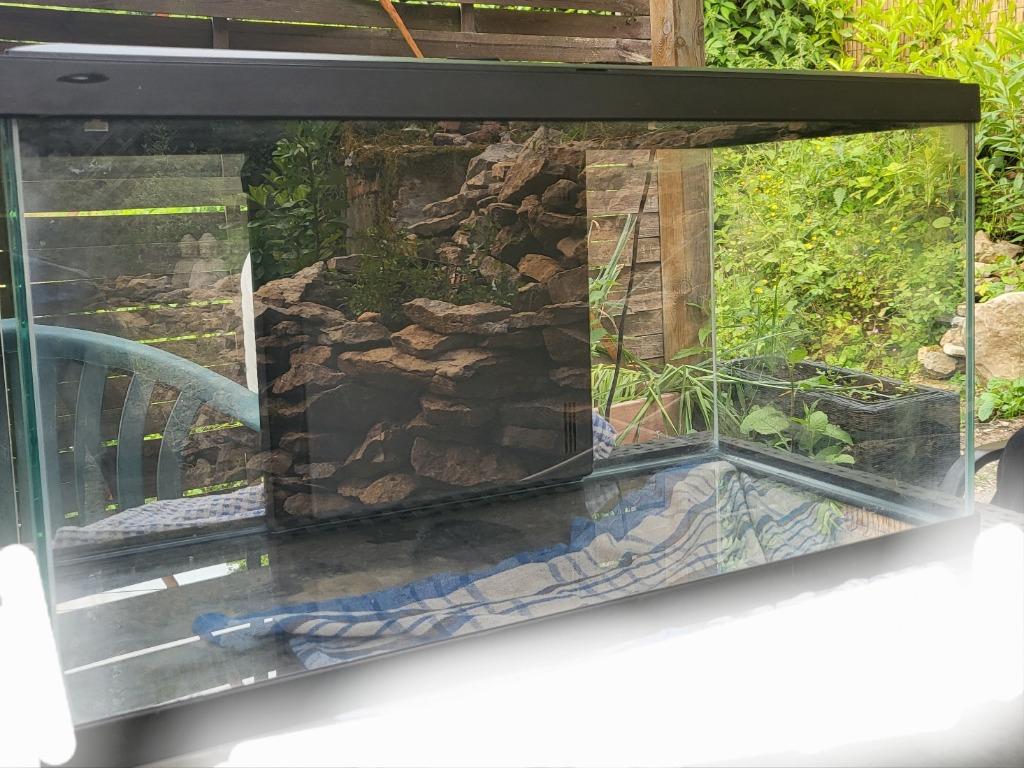 Aquarium, Animaux & Accessoires, Enlèvement