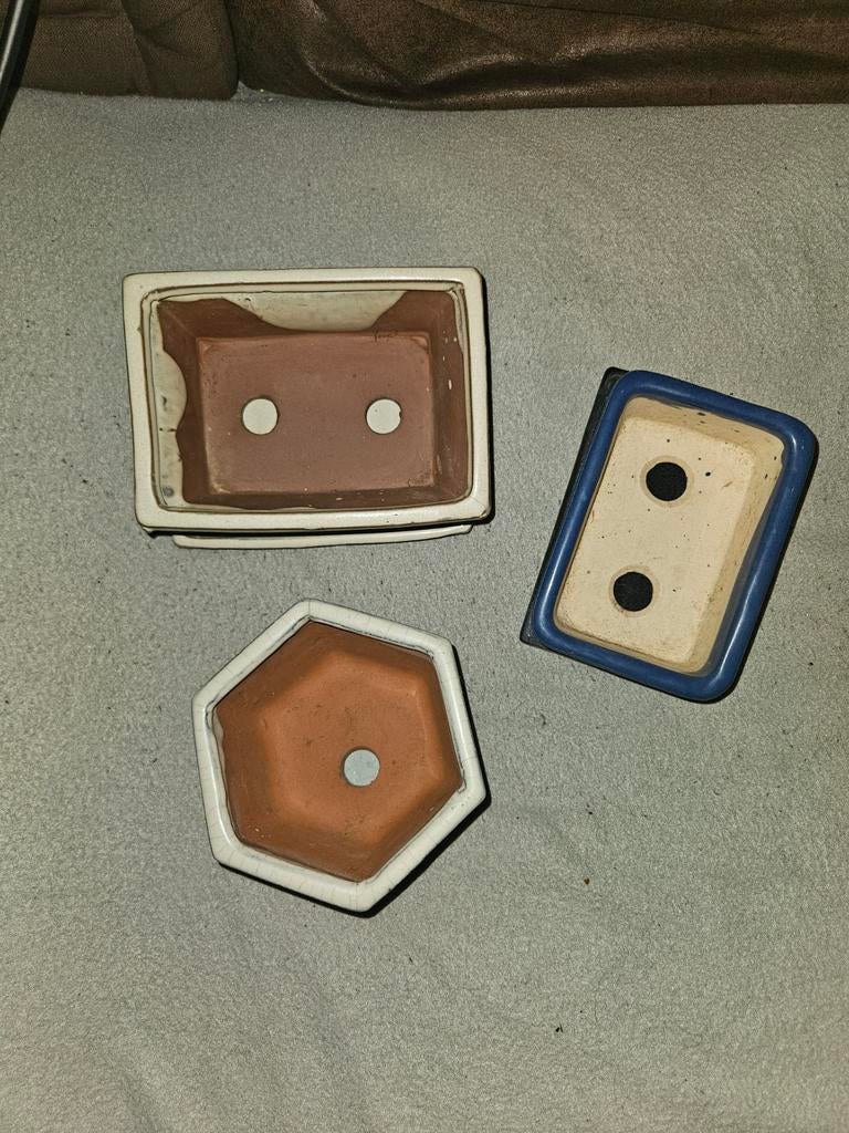 Verzameling bonsai potjes, Tuin en Terras, Bloempotten, Ophalen