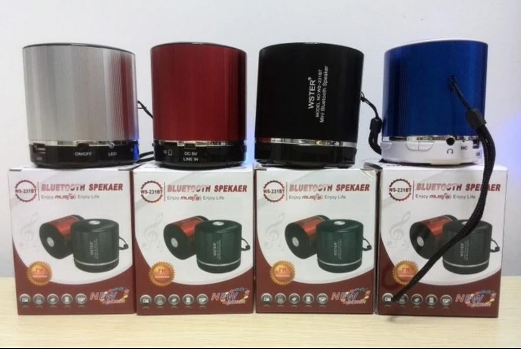 Enceinte portable WSTER WS-231BT MP3, FM, USB, Bluetooth, Enlèvement ou Envoi