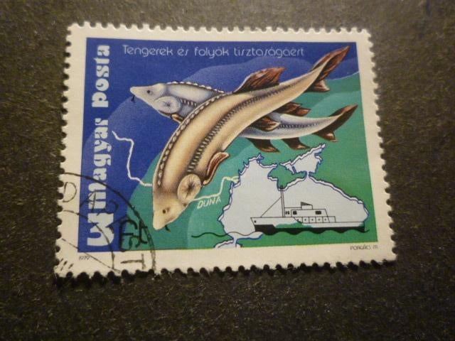 Hongarije/Hongrie 1979 Mi 3369A(o) Gestempeld/Oblitéré, Enlèvement ou Envoi