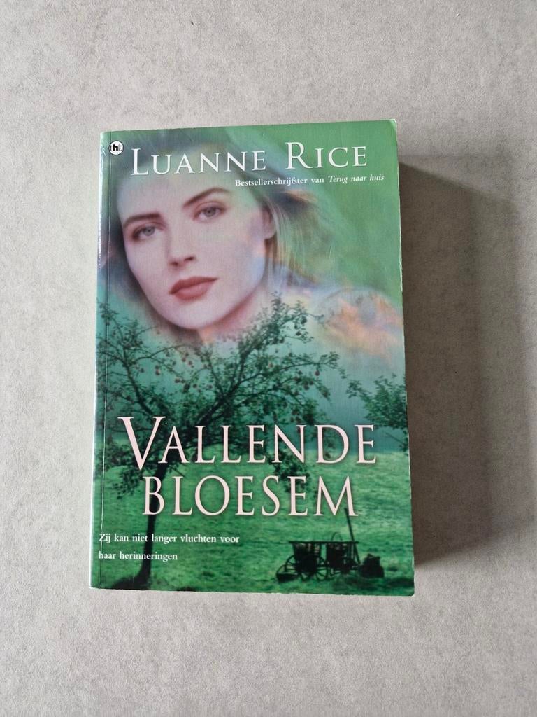 Vallende bloesem - Luanne Rice, Boeken, Romans, Gelezen, Amerika, Ophalen of Verzenden