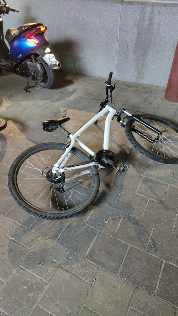 Mountainbike, Fietsen en Brommers, 20 inch of meer, Heren, Versnellingen, Zo goed als nieuw