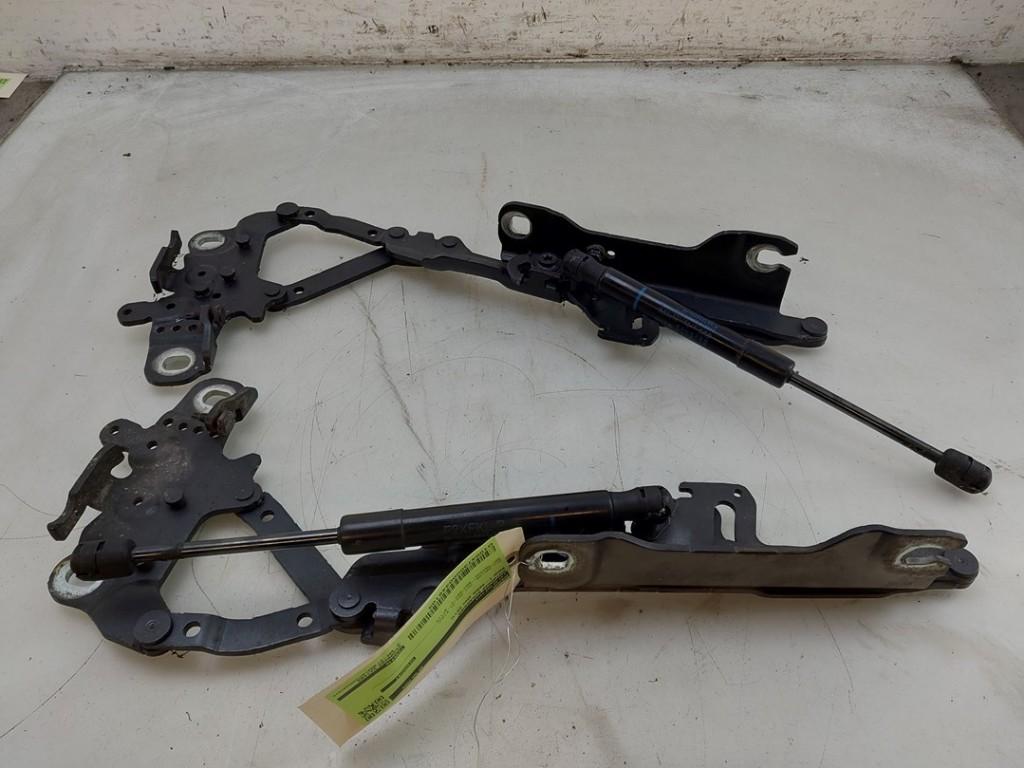 CHARNIERE DE CAPOT BMW 1 serie (F20) (|7239415|7239416|), Dhr. J. Ham, Administratie@autoham.nl, Utilisé, BMW