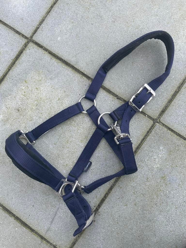 Licol bleu marine, Animaux & Accessoires, Enlèvement ou Envoi, Utilisé