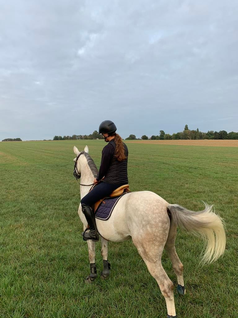 Paardrijles aan huis & Zadelmak maken van paarden