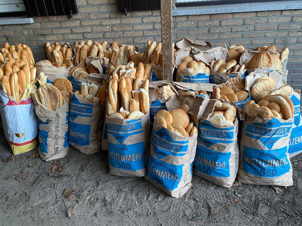 Kippen, Dieren en Toebehoren, Pluimvee