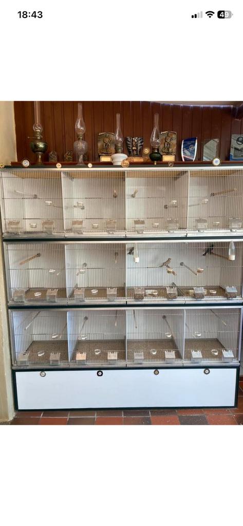 Ruikast, Huis en Inrichting, Ophalen of Verzenden, Gebruikt