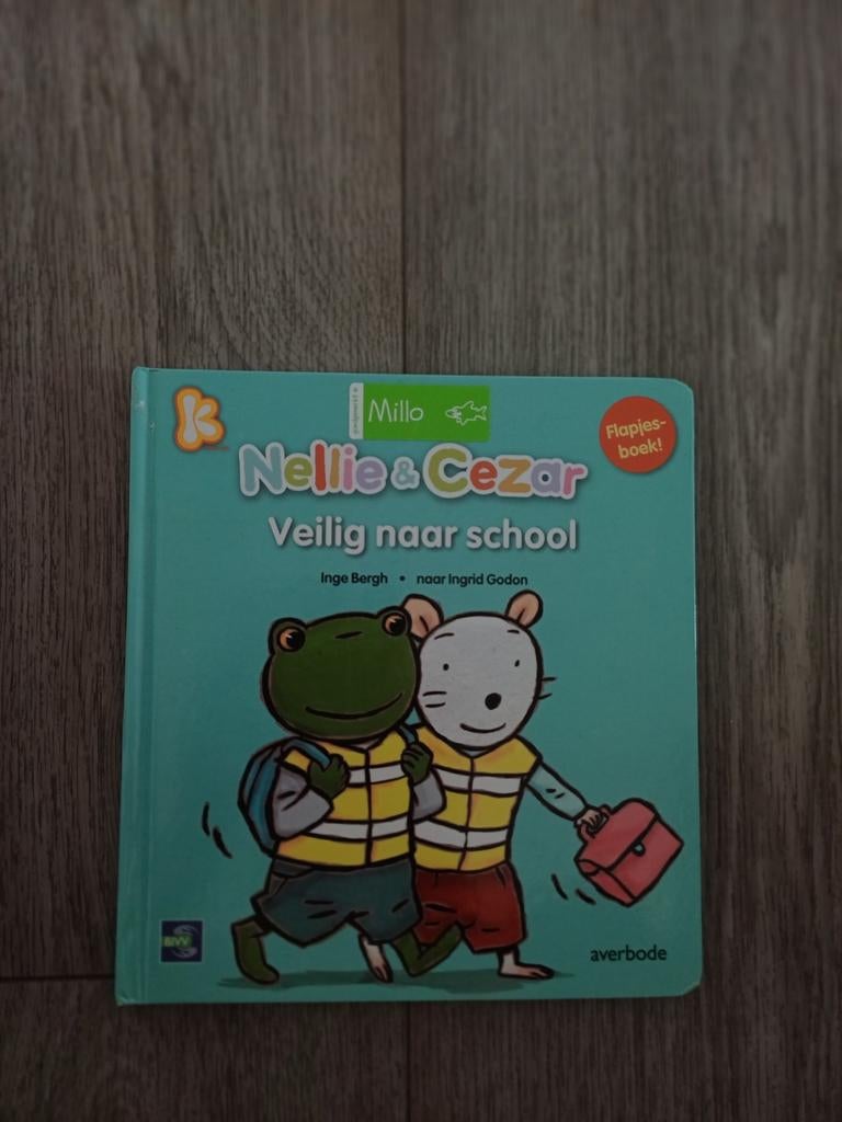 boeken kinderen: 1 euro per stuk - alleen ophalen, Ophalen