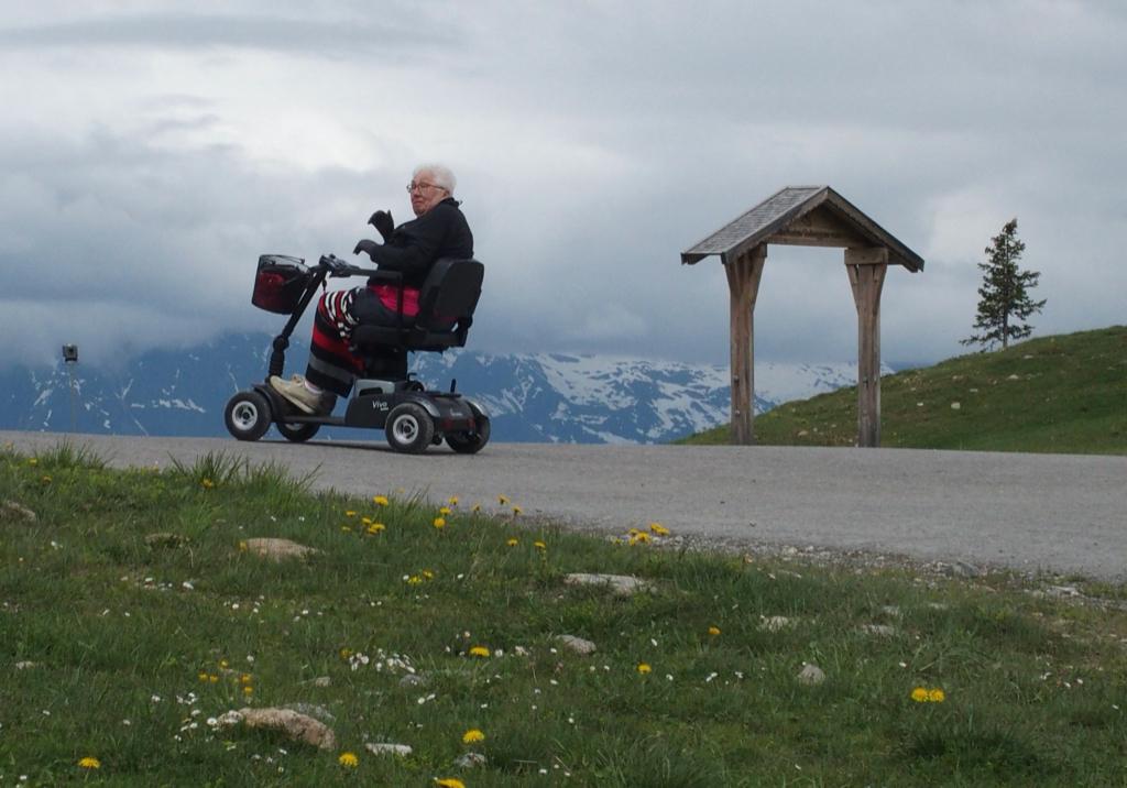 Demonteerbare scootmobiel Vivo, Ophalen, Life and Mobility, Gebruikt, 16 t/m 25 km