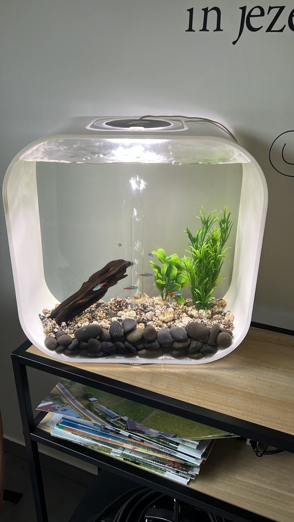 Biorb aquarium 30 L, Ophalen, Zo goed als nieuw