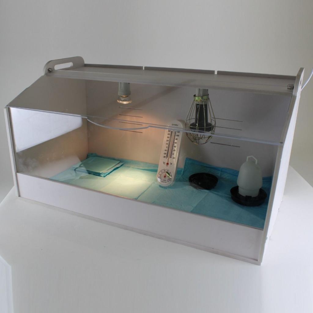 Brooder voor kuikens groot 78.5x39.5x42cm, Dieren en Toebehoren, Ophalen of Verzenden, Nieuw, Kippenhok of Kippenren