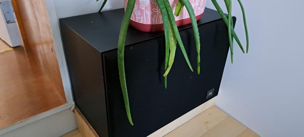 JBL-luidspreker, JBL, Ophalen of Verzenden, Zo goed als nieuw, 60 tot 120 watt