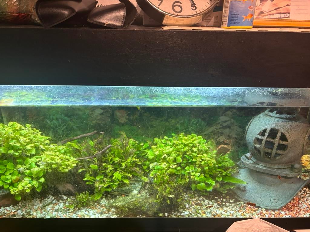 A venvre meuble avec aquarium et décor, Enlèvement, Utilisé