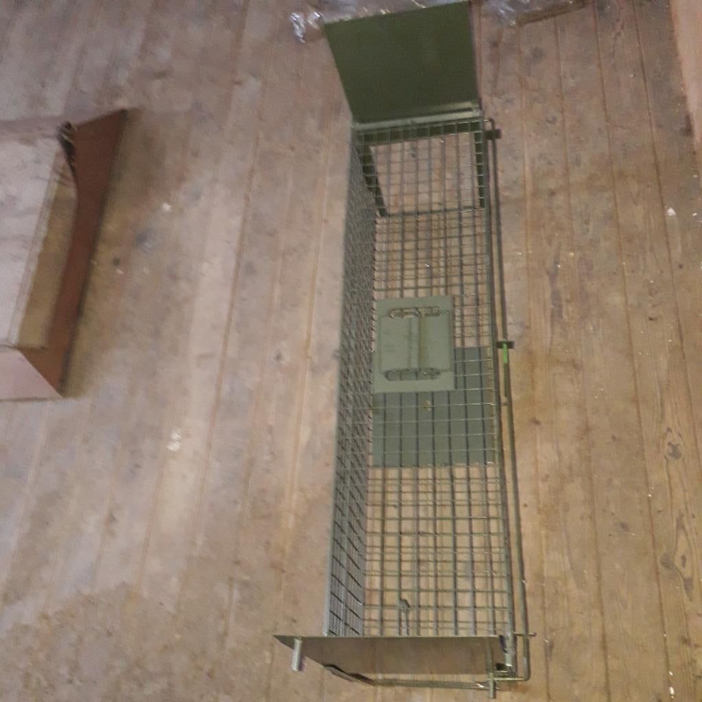 Cage Trappe Chat Errant, Enlèvement, Comme neuf