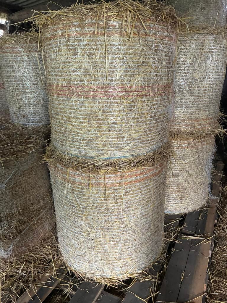 Midi balen tarwe stro, Stalling