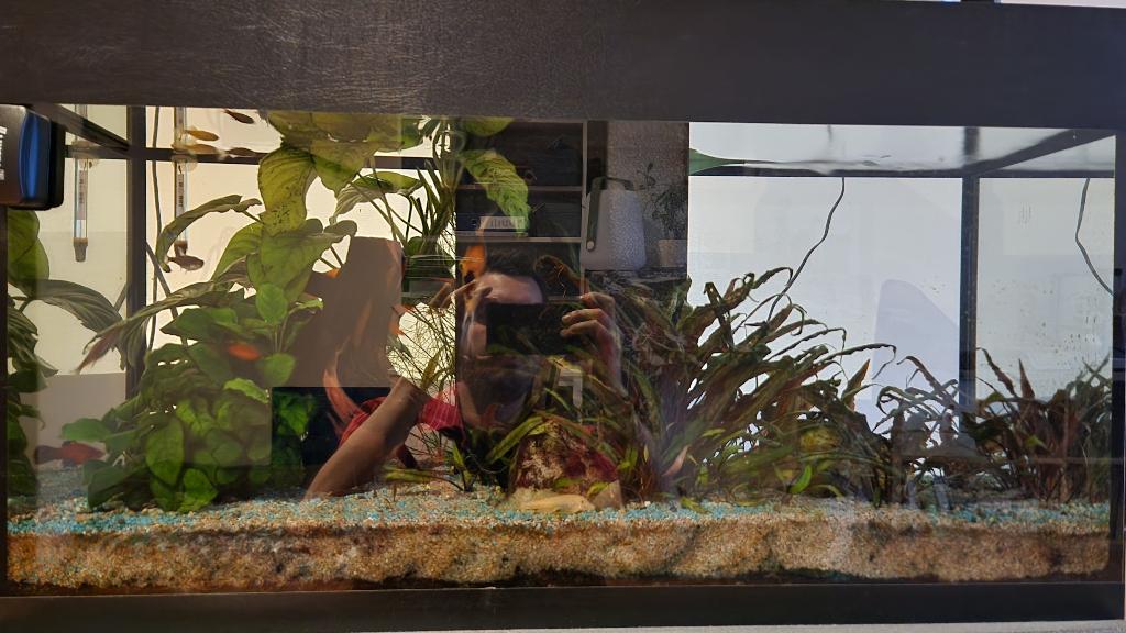 Aquarium 120L avec tout son contenu, Enlèvement, Comme neuf, Aquarium d'eau douce rempli