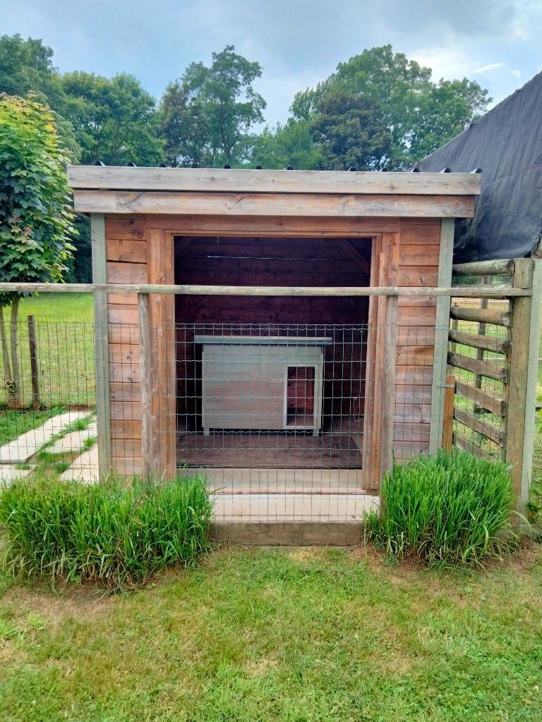 hondenhok (groot), 65 à 100 cm, Enlèvement, 110 cm ou plus, Niche à chien