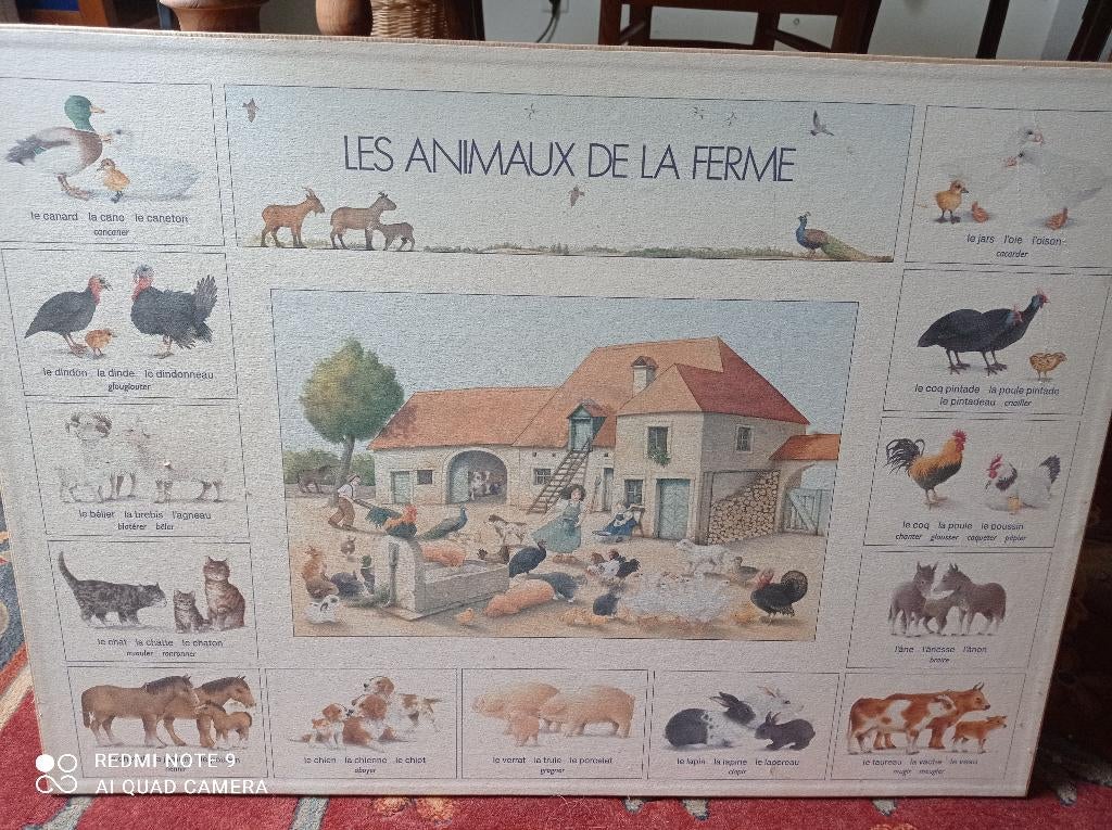 Posters Junior encadrés : Alphabet et Animaux de la Ferme, Enfants & Bébés, Chambre d'enfant | Aménagement & Décoration, Utilisé