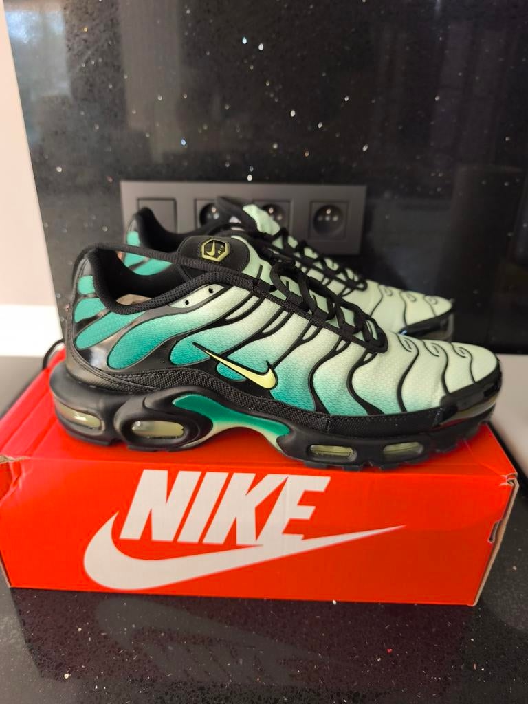 Nike Air Max Plus Vapor Green Lemon Twist neuves 46, Enlèvement
