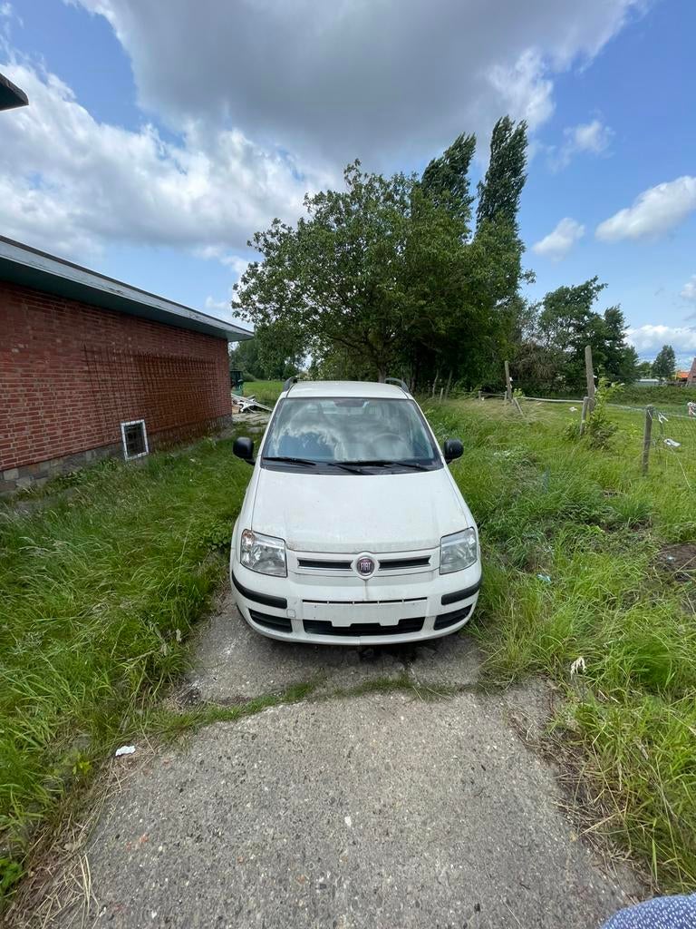 Fiat panda benzin euro5, Auto's, Fiat, Euro 5, Panda, Wit, Bedrijf
