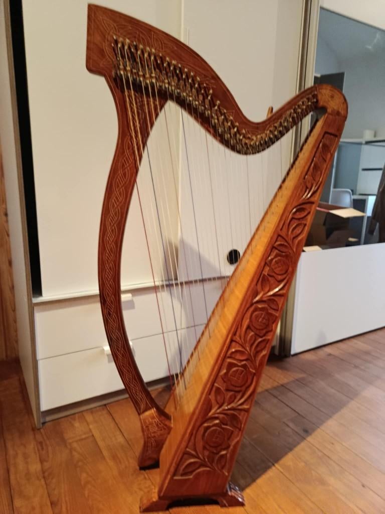 Harpe celtique irlandaise, Musique & Instruments, Instruments à corde | Harpes, Utilisé, Enlèvement