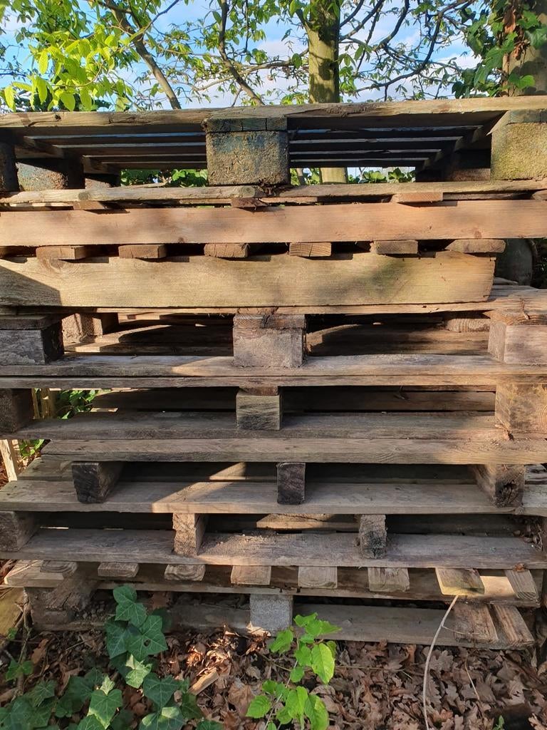 Palettes Epal anciennes, Bricolage & Construction, Bois & Planches, Enlèvement