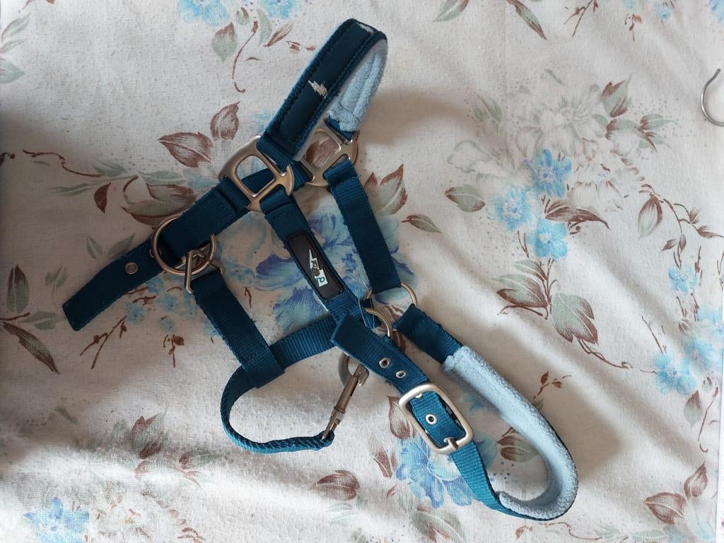 Licol Shelty, Animaux & Accessoires, Enlèvement ou Envoi