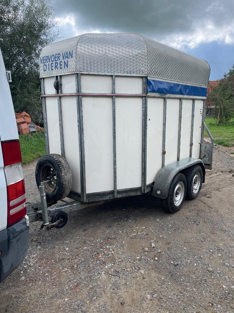 Veetrailer Scheirlinckx, Animaux & Accessoires, Bovins