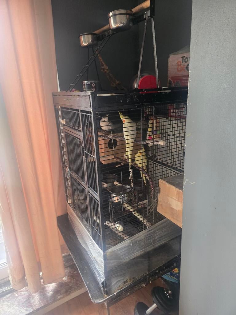 Une volière pour perroquet et perruches et accessoir vendre, Enlèvement, Utilisé, Métal, Volière