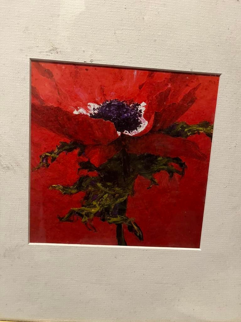 Charles Belle - Anemone 33x33, Ophalen of Verzenden