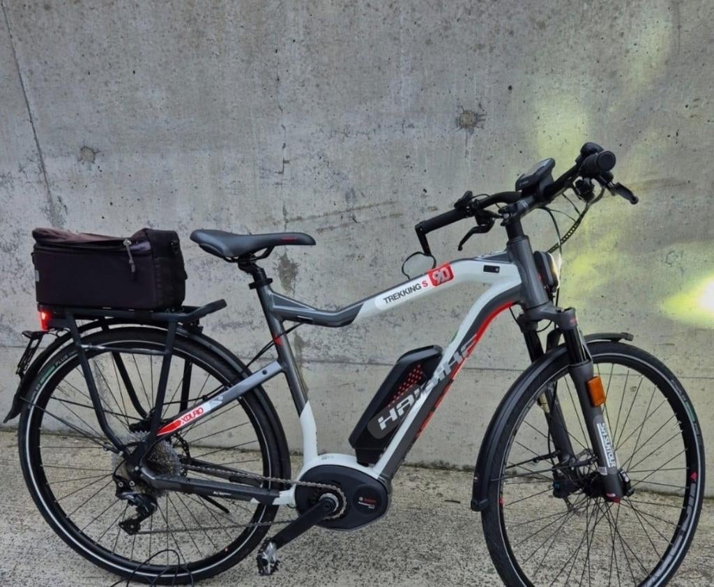 Vélo Speed Pedelec taille L peu roulé et très bien entretenu, Vélos & Vélomoteurs, Enlèvement