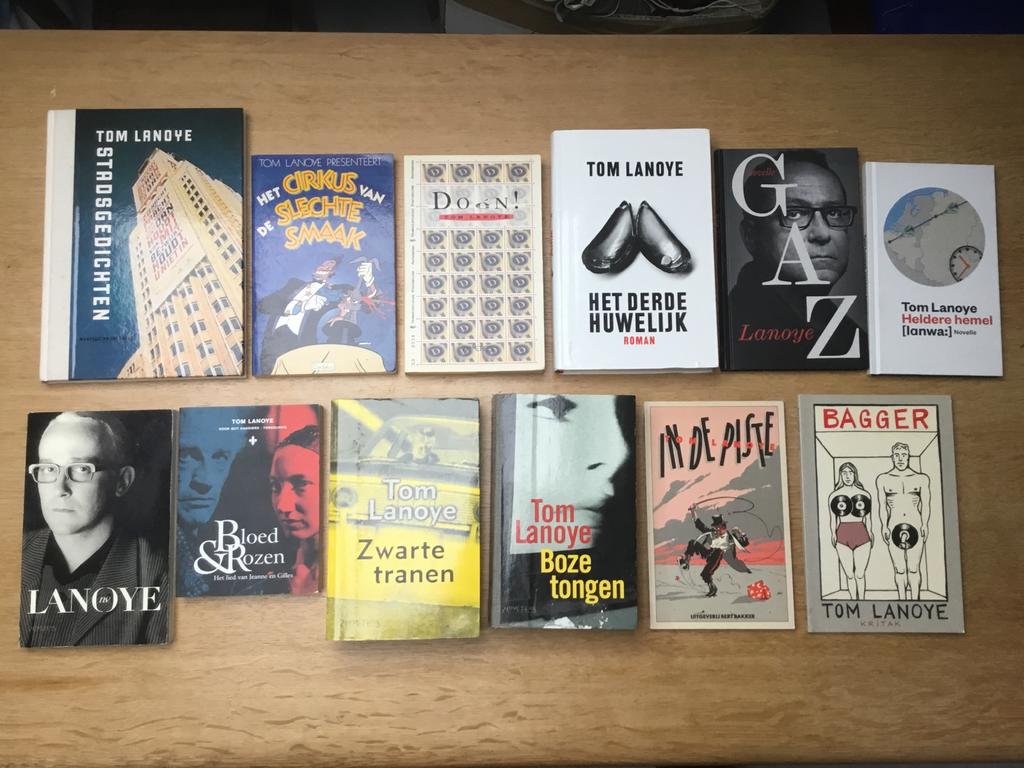 Tom Lanoye - 12 verschillende boeken, Boeken, Romans, Ophalen of Verzenden, Zo goed als nieuw
