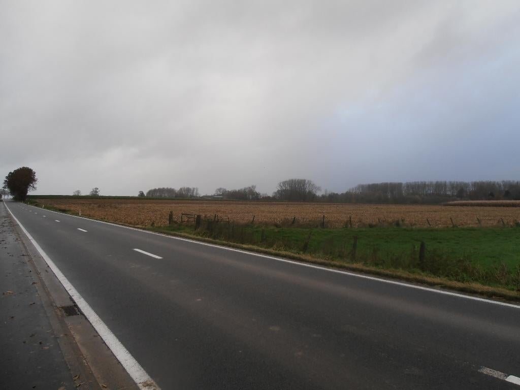 weide te huur, Pâturage, 2 ou 3 chevaux ou poneys