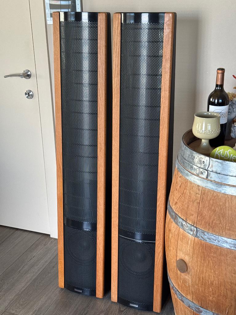 Martin logan aerius speakers, Zo goed als nieuw, 60 tot 120 watt, Front, Rear of Stereo speakers, Ophalen