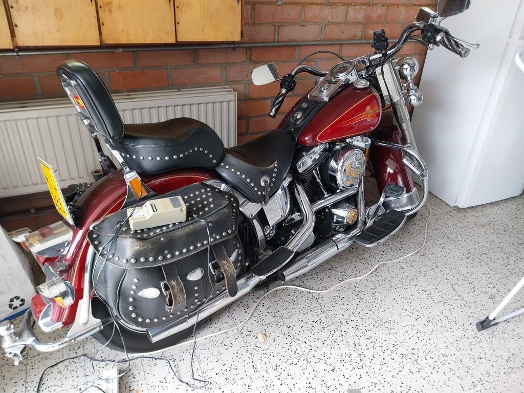 Harley Davidson, Particulier