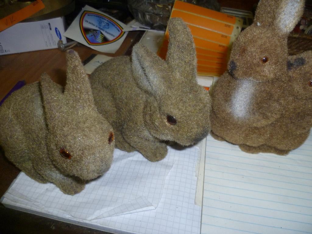 3 OUDE KONIJNTJES, Ophalen