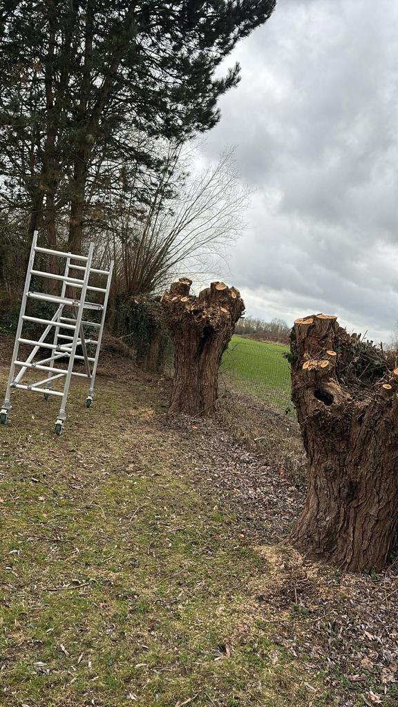 Entretient jardin, Jardin & Terrasse, Enlèvement ou Envoi