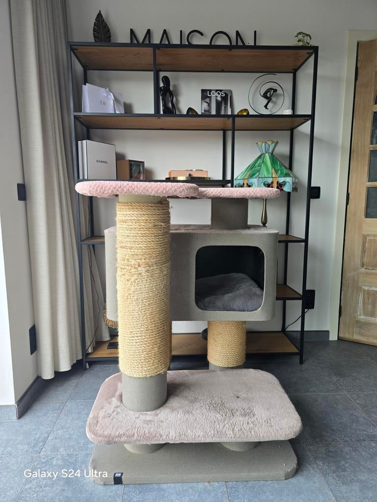 Krabpaal maincoon, Dieren en Toebehoren, Ophalen, Krabpaal