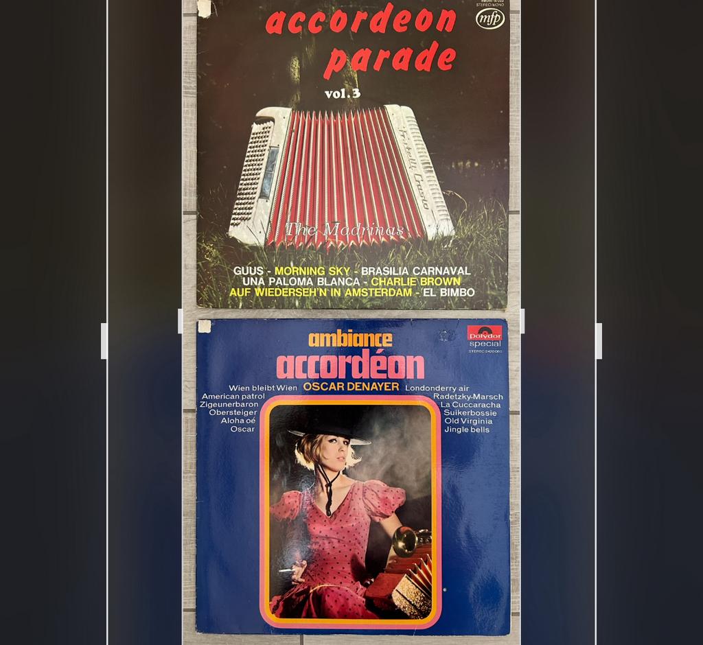 2 albums d'accordéon en vinyle The Madrinas et Oscar Denayer, Enlèvement ou Envoi, Utilisé, 12 pouces, Pop