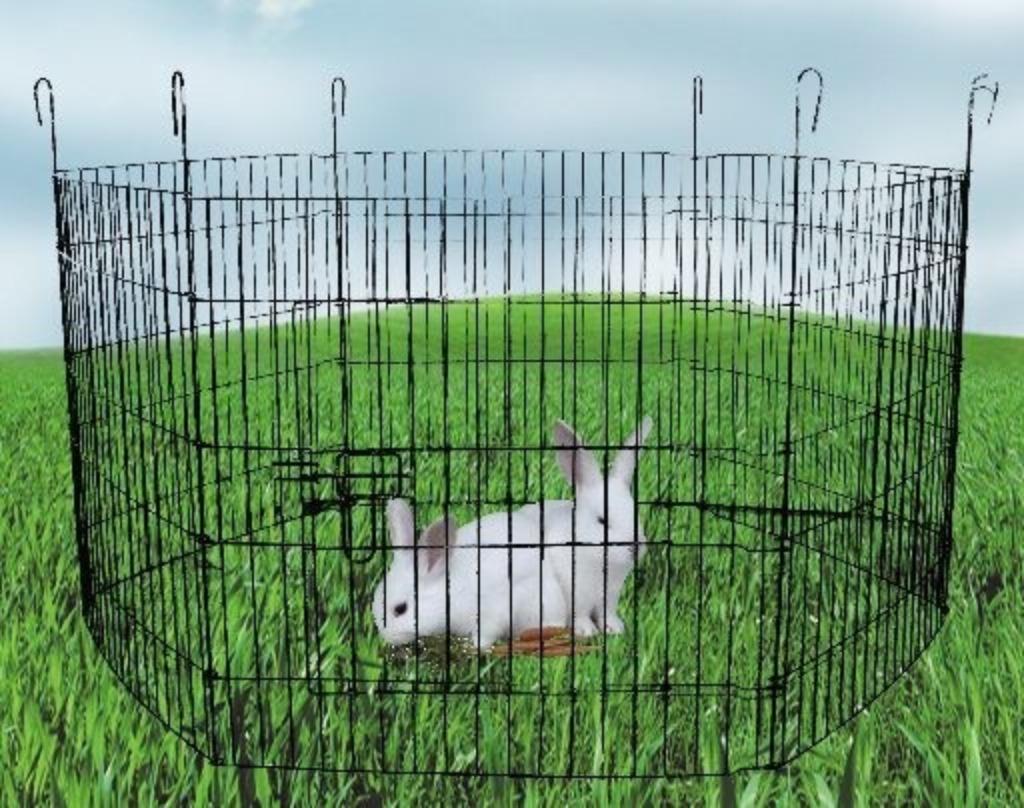 Konijnenren voor buiten - park voor konijnen, 110 cm of meer, 60 tot 90 cm, Nieuw, Ophalen of Verzenden