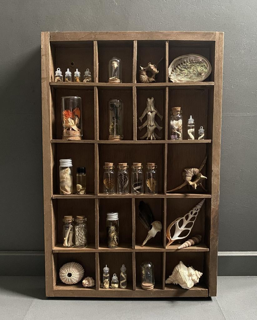 Houten rariteiten letterbak - letterkastje, Collections, Collections Animaux, Enlèvement ou Envoi