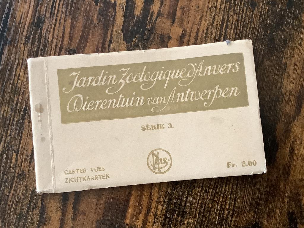 NELS Fotomapje 6 kaarten ZOO Antwerpen 🎫, Verzamelen, Postkaarten | Dieren, Ophalen of Verzenden, Ongelopen, Overige soorten