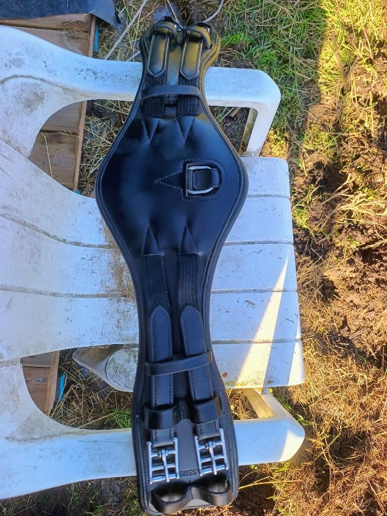 Singel, Dieren en Toebehoren, Ophalen, Gebruikt, Dressuur