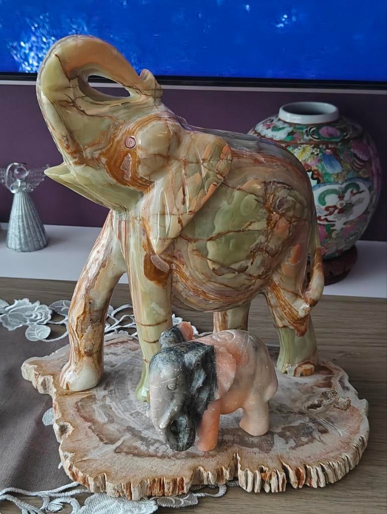 Olifant marmer Onyx en versteend hout schijf, Verzamelen, Mineralen en Fossielen, Ophalen