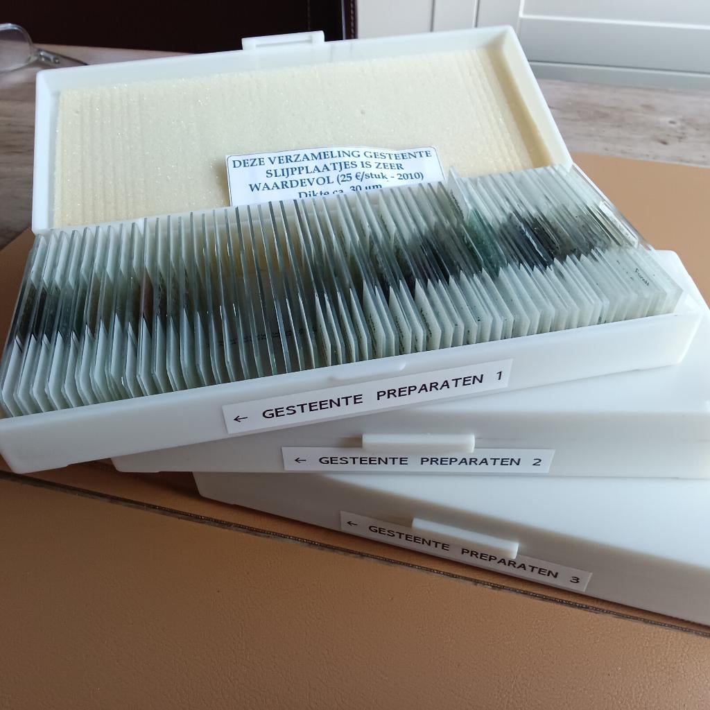 Gesteente preparaten, zeer exclusief, bieden...., Ophalen, Fossiel