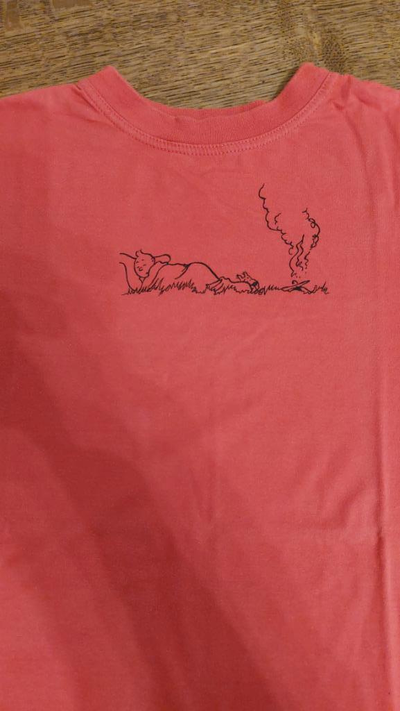 Vêtements  garçon 12 ans, Enlèvement ou Envoi, Comme neuf