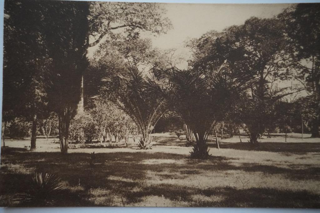 Ansichtkaart Congo, Ophalen of Verzenden, Ongelopen, Buiten Europa