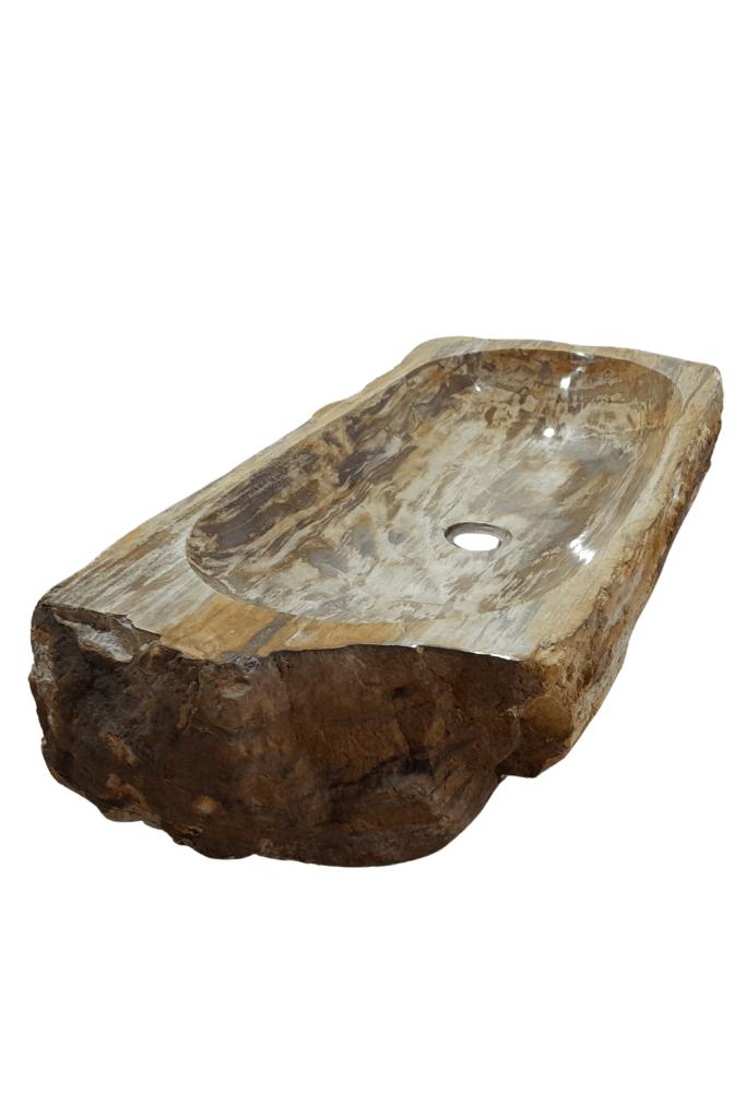 fossiele wasbak (versteend hout, Verzamelen, Mineralen en Fossielen, Ophalen of Verzenden, Fossiel
